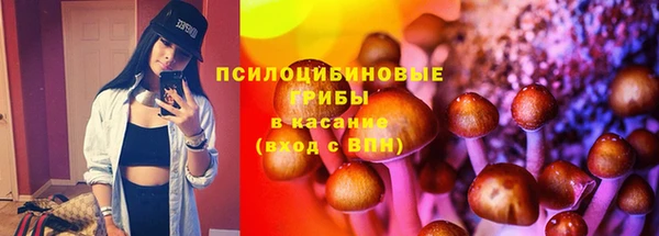 ECSTASY Алексин