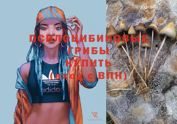 2c-b Алексеевка
