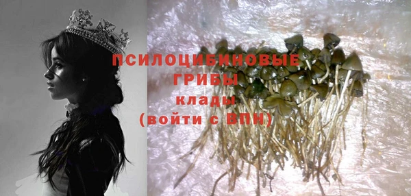 ECSTASY Алексин