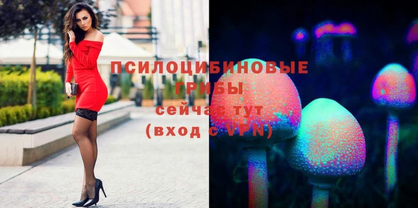 ECSTASY Алексин