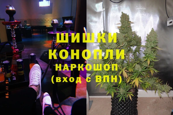 спайс Алзамай