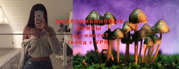 ECSTASY Алексин