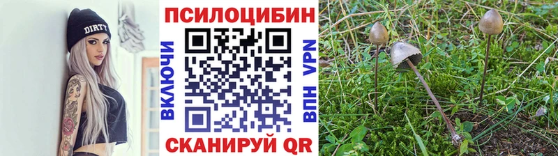 Галлюциногенные грибы Cubensis  ОМГ ОМГ ссылка  Заволжск  сколько стоит 